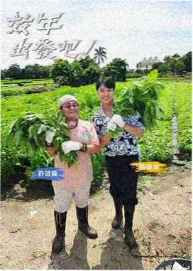 小雏菊广播剧第三话 雨夜里的第二碗饭